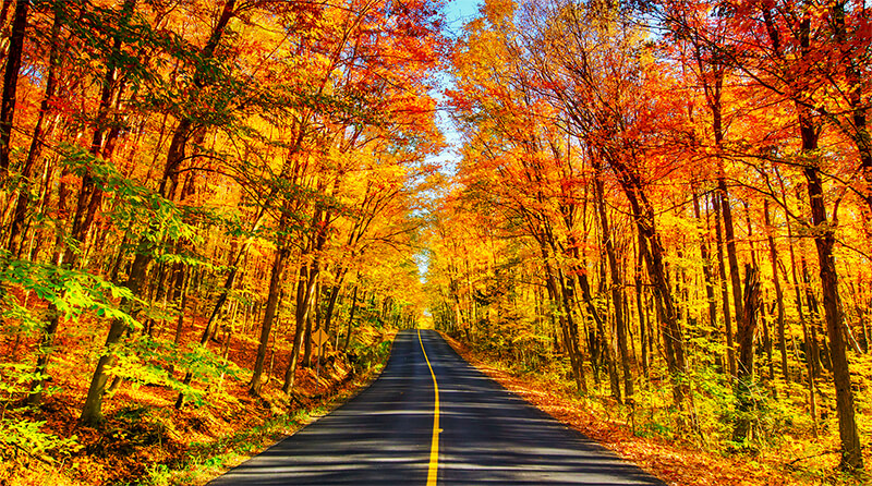 Préparer votre véhicule pour un voyage sur la route article header